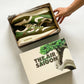 AM1 Kengai Bonsai Olive