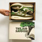 AM1 Kengai Bonsai Olive