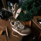 AM1 Kengai Bonsai Umber
