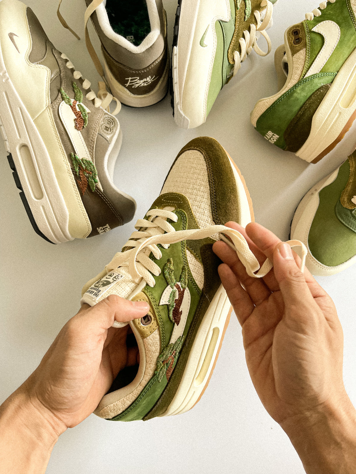 AM1 Kengai Bonsai Olive